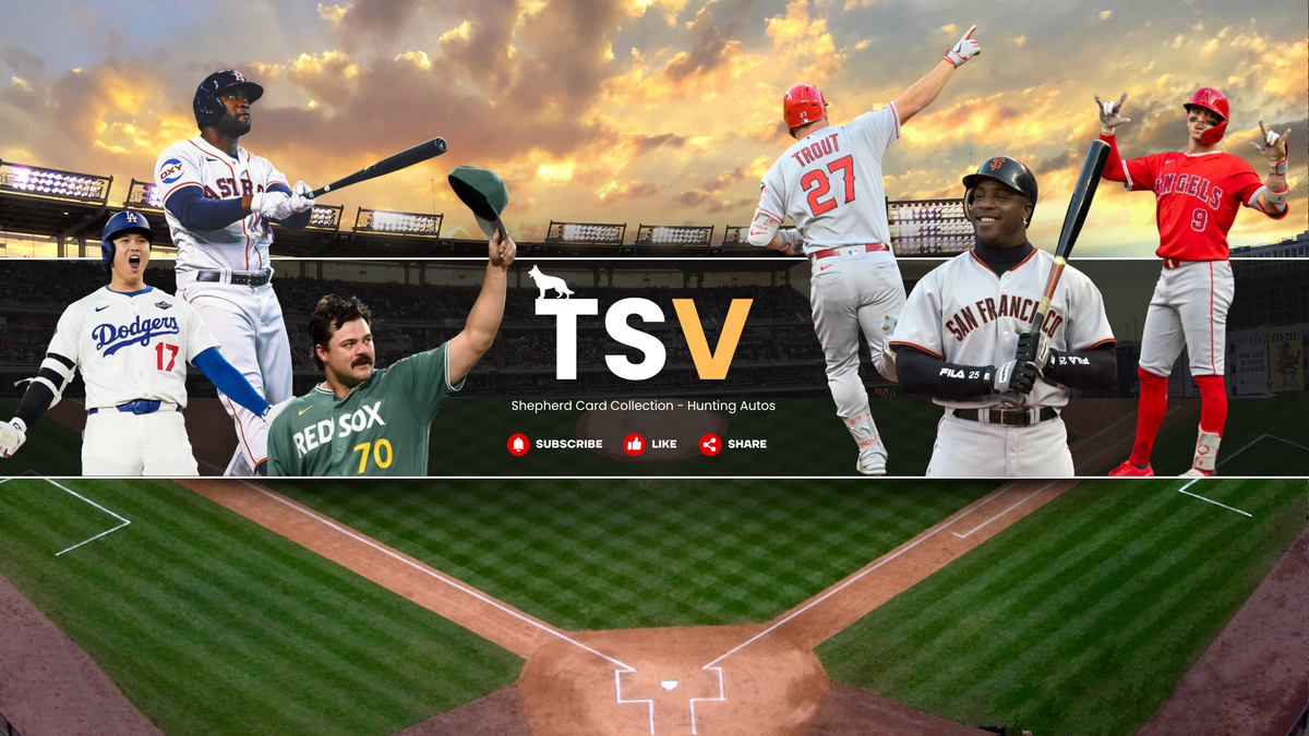 MLB Teams Vault