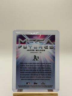 Jacob Wilson Mega Futures - Case Hit